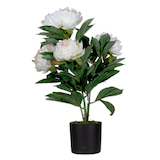 Artikelbild 1 für meet powered by PAPERFLOW PFINGSTROSE Kunstpflanze 55,0 cm, Artikelnummer 521876