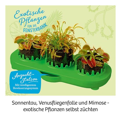 Artikelbild 5 für KOSMOS Experimentierkasten Fleischfressende Pflanzen mehrfarbig, Artikelnummer 820718