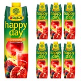 Artikelbild 1 für happy day Fruchtnektar Granatapfel 6x 1,0 l, Artikelnummer 533107