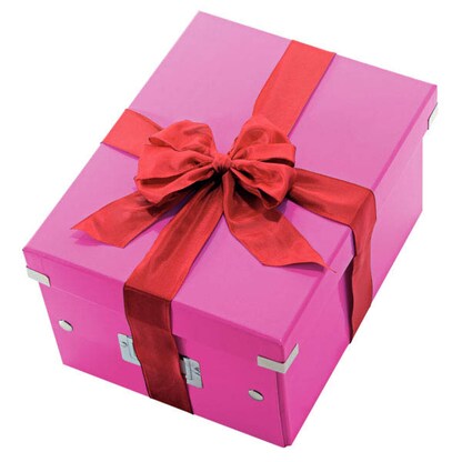 Artikelbild 7 für LEITZ Click & Store Aufbewahrungsbox 16,7 l pink 28,1 x 36,9 x 20,0 cm, 1 St., Artikelnummer 127381