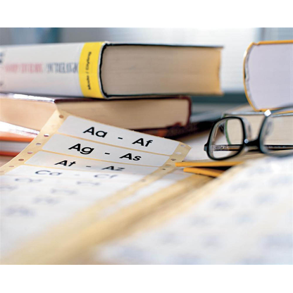 Artikelbild 2 für 3.000 AVERY Zweckform Computer-Endlosetiketten 5103 weiß 88,9 x 48,4 mm, Artikelnummer 703942