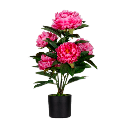 Artikelbild für meet powered by PAPERFLOW PFINGSTROSE Kunstpflanze 55,0 cm, Artikelnummer 521494