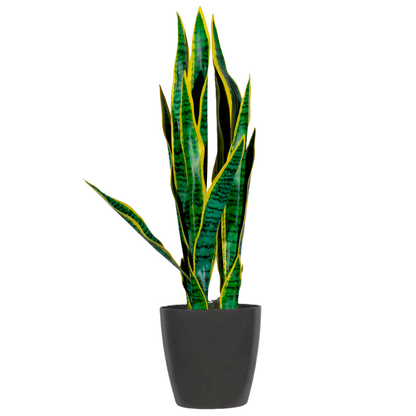Artikelbild 3 für meet powered by PAPERFLOW SANSEVIERIA Kunstpflanze 65,0 cm, Artikelnummer 521809