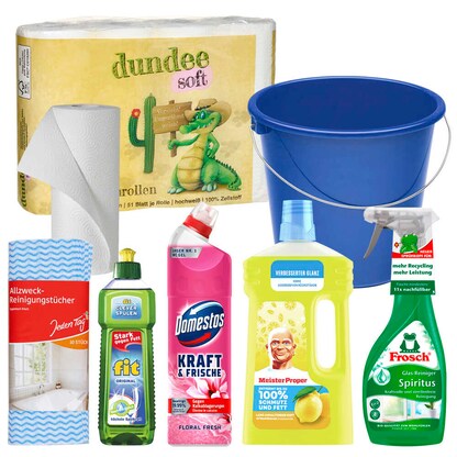 Artikelbild für AKTION: Reinigungs-Set, 1 Set, Artikelnummer 781937