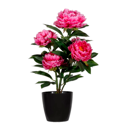 Artikelbild 3 für meet powered by PAPERFLOW PFINGSTROSE Kunstpflanze 55,0 cm, Artikelnummer 521494