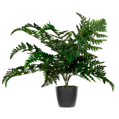Artikelbild 3 für meet powered by PAPERFLOW FARN Kunstpflanze 55,0 cm, Artikelnummer 521699