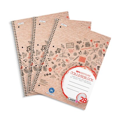 Artikelbild für LANDRÉ® Collegeblöcke Recycling kariert DIN A4 Innen- und Außenrand, 3 St., Artikelnummer 298648