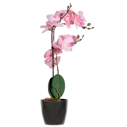 Artikelbild 3 für meet powered by PAPERFLOW ORCHIDEE Kunstpflanze 50,0 cm, Artikelnummer 521704