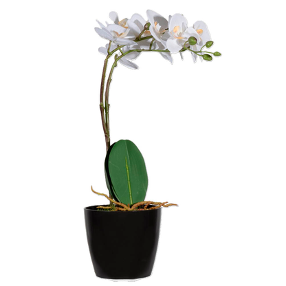 Artikelbild 2 für meet powered by PAPERFLOW ORCHIDEE Kunstpflanze 40,0 cm, Artikelnummer 521718