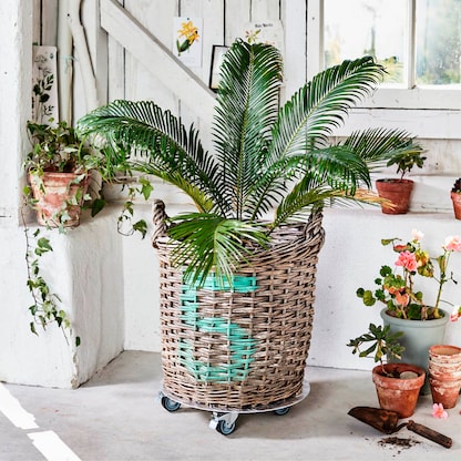 Artikelbild 3 für WAGNER® design yourself Pflanzenroller GH 7002 Metall, Ø 38,0 cm silber rund, 1 St., Artikelnummer 420206