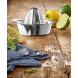 Artikelbild 1 für WMF Gourmet Zitronenpresse silber, Artikelnummer 291132