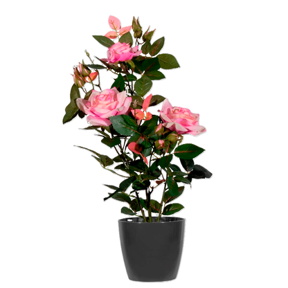 Artikelbild für meet powered by PAPERFLOW ROSENSTOCK Kunstpflanze 54,0 cm, Artikelnummer 521829