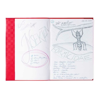 Artikelbild 2 für HERMA Heftumschlag mit Baststruktur weinrot Kunststoff DIN A4, Artikelnummer 830887