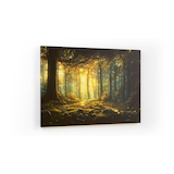 Artikelbild 1 für ALLboards Magnettafel CANVASboards 90,0 x 60,0 cm Märchen Wald, Artikelnummer 502876