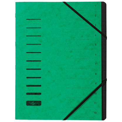 Artikelbild für PAGNA Ordnungsmappe Ordnungsmappen 12 Fächer grün, 1 St., Artikelnummer 370593