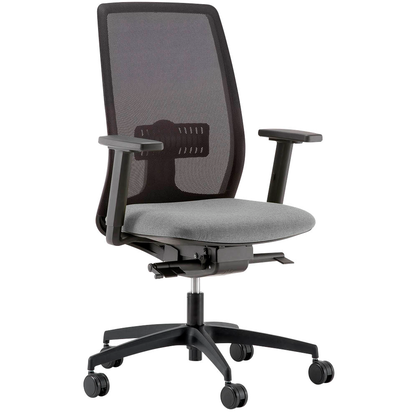 Artikelbild 2 für Quadrifoglio Orion Armlehnen verstellbar schwarz für Orion, 2 St., Artikelnummer 320422