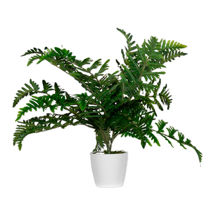 Artikelbild 2 für meet powered by PAPERFLOW FARN Kunstpflanze 55,0 cm, Artikelnummer 521699