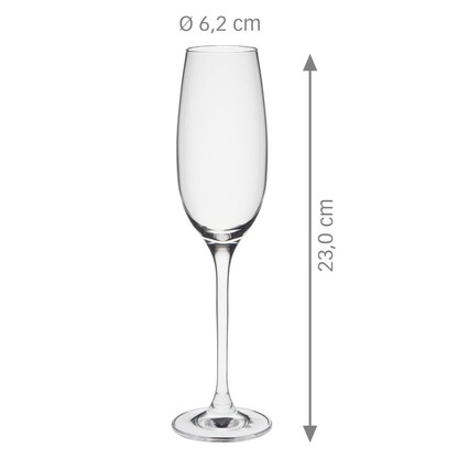 Artikelbild 4 für RONA Sektgläser EDITION 150,0 ml, 6 St., Artikelnummer 471827