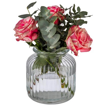 Artikelbild 4 für APS Vorratsglas transparent Cookiego, 1 St., Artikelnummer 646057