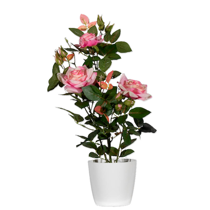 Artikelbild 3 für meet powered by PAPERFLOW ROSENSTOCK Kunstpflanze 54,0 cm, Artikelnummer 521829