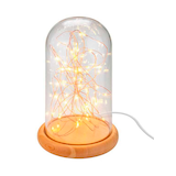 Artikelbild 1 für goobay LED Dekoleuchte transparent, 1 St., Artikelnummer 725311