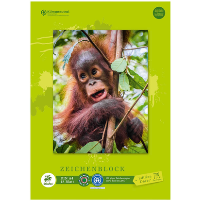 Artikelbild 2 für Edition Dürer Zeichenblock green DIN A4 100 g/qm, 18 Blatt, 1 Block, Artikelnummer 421519