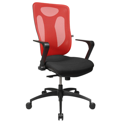 Artikelbild 2 für Topstar R2 Armlehnen schwarz für Net Pro 100, Soft Pro 100, 2 St., Artikelnummer 269478