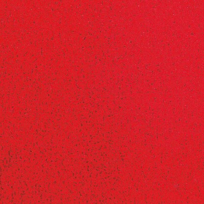 Artikelbild 2 für Hamat Fußmatte Future rot 120,0 x 180,0 cm, Artikelnummer 241681