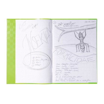 Artikelbild 2 für HERMA Heftumschlag mit Baststruktur hellgrün Kunststoff DIN A4, Artikelnummer 772824