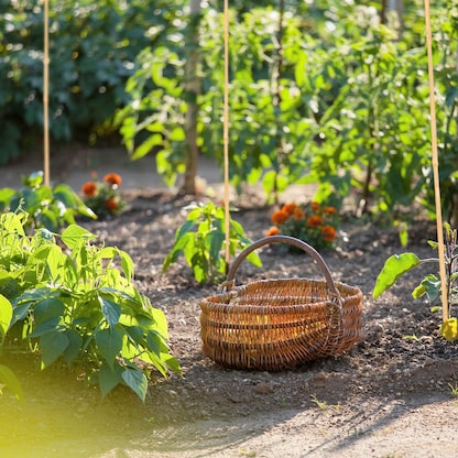 Artikelbild 7 für relaxdays Bambusstäbe Holz, Ø ca. 1,0 bis 1,7 cm braun rund, 25 St., Artikelnummer 450672