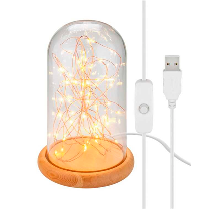 Artikelbild 2 für goobay LED Dekoleuchte transparent, 1 St., Artikelnummer 725311