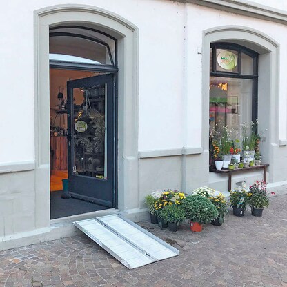 Artikelbild 4 für WIHEDÜ Auffahrrampen bis 270,0 kg, 1 St., Artikelnummer 743249