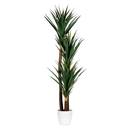 Artikelbild 3 für meet powered by PAPERFLOW YUCCA Kunstpalme 150,0 cm, Artikelnummer 521819