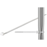 Artikelbild 1 für fixPOINT Kabelbinder transparent 20,0 cm x 2,5 mm, 100 St., Artikelnummer 582726