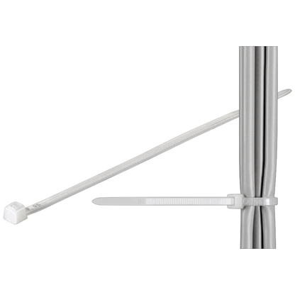 Artikelbild für fixPOINT Kabelbinder transparent 20,0 cm x 2,5 mm, 100 St., Artikelnummer 582726