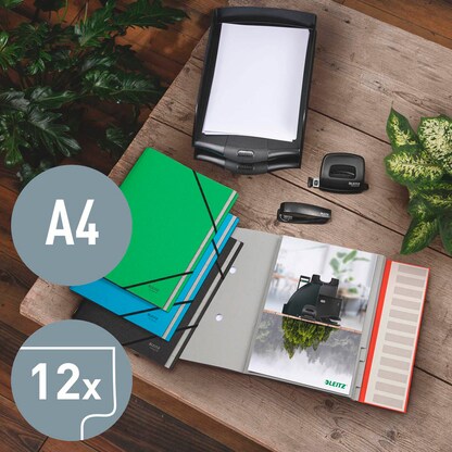 Artikelbild 7 für LEITZ Ordnungsmappe recycle 3915 12 Fächer blau, 1 St., Artikelnummer 854577