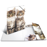 Artikelbild 1 für HERMA Sammelmappen DIN A4 Katzen, 3 St., Artikelnummer 555153