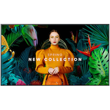 Artikelbild 1 für SAMSUNG QM55C UHD-Display, schwarz, 138,7 cm (54,6 Zoll), Artikelnummer 387349