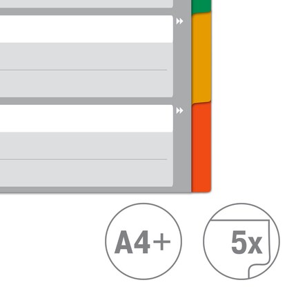 Artikelbild 5 für VON LEITZ Register DIN A4 Vollformat blanko grau-weiß 5-teilig, 1 Satz, Artikelnummer 635866