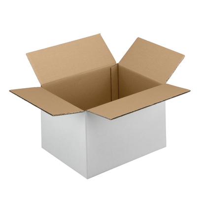 Artikelbild für Nestler Wellpapp-Faltkartons 2-wellig weiß 22,3 x 16,3 x 15,8 cm Außenmaß, 20 St., Artikelnummer 598227