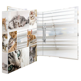 Artikelbild 1 für HERMA Animals Katzen Ringbuch 2-Ringe Motiv 3,5 cm DIN A4, 1 St., Artikelnummer 278207