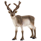 Artikelbild 1 für Schleich® Wild Life 14837 Rentier Spielfigur, Artikelnummer 432181
