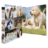 Artikelbild 1 für HERMA Animals Hunde Ringbuch 2-Ringe Motiv 3,5 cm DIN A4, 1 St., Artikelnummer 278301