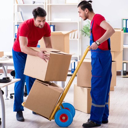 Artikelbild 7 für relaxdays Sackkarrenräder luftbereift blau, rot Stahl Felgen, Achse 2,0 cm, Artikelnummer 452361