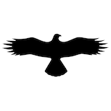 Artikelbild 1 für SafetyMarking® Hinweisaufkleber Bussard 36,7 x 14,5 cm, 1 St., Artikelnummer 340125