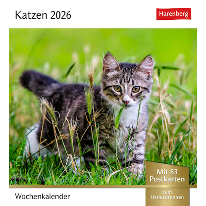Artikelbild für Harenberg Postkartenkalender Katzen 2026, 1 St., Artikelnummer 551467