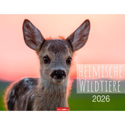 Artikelbild für Weingarten Monats-Wandkalender Heimische Wildtiere 2026, 1 St., Artikelnummer 551172