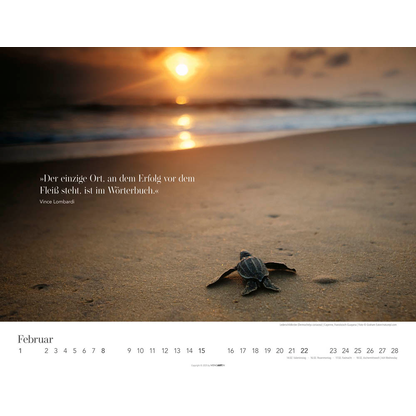 Artikelbild 3 für Weingarten Monats-Wandkalender Wege des Erfolgs 2026, 1 St., Artikelnummer 551087