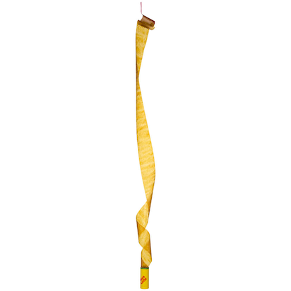 Artikelbild 8 für Nexa Lotte® Fliegenfänger braun, 4 St., Artikelnummer 663868