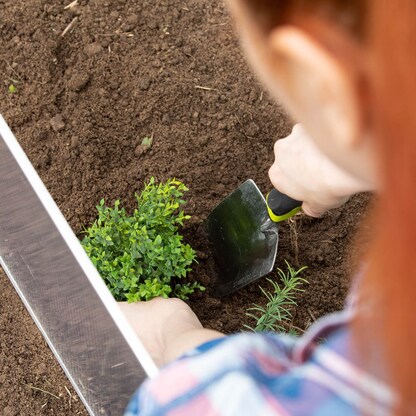 Artikelbild 3 für relaxdays Frühbeet Kunststoff transparent rechteckig 100,0 x 50,0 cm, 1 St., Artikelnummer 448953